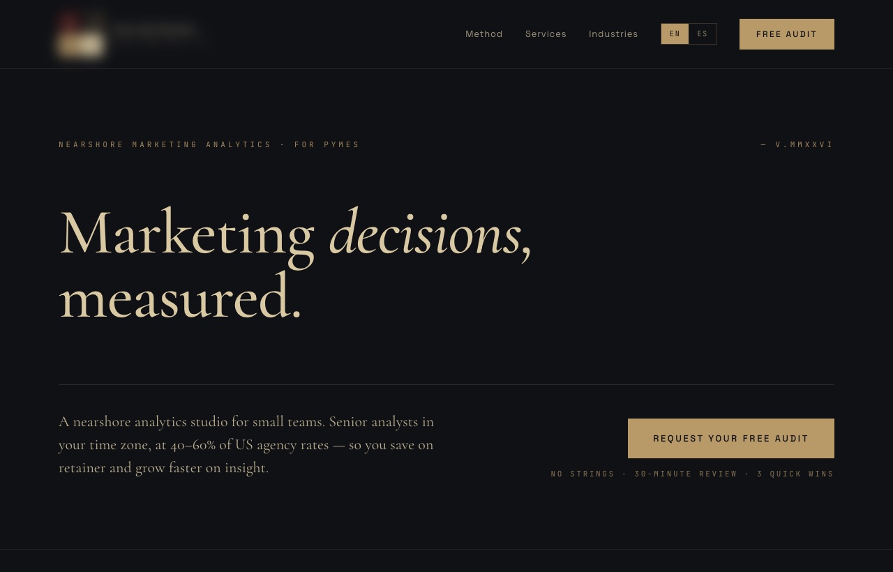 A nearshore marketing-analytics studio, running on Wippit